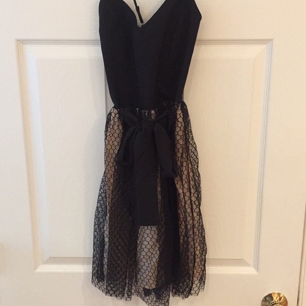 Adorable Black Mesh Ballerina Dress